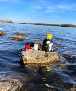 Spastic Pops IN STOCK MARTIAN TOYS Kaze Studio X Martian Toys ORCA & Friends! Designer Brands!