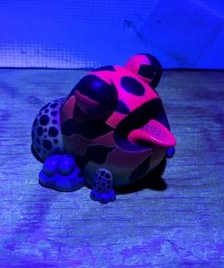 Spastic Pops SUNS OUT BUNS OUT Custom 1 Of 1 Ributt Vinyl Figure: “Rainbow Poison Dart Toad” By Kendra Thomas Designer Brands!